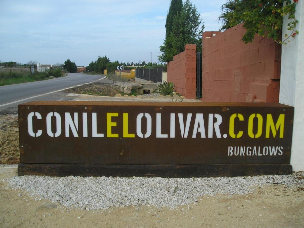 El Olivar De Roche Viejo Conil De La Frontera Extérieur photo