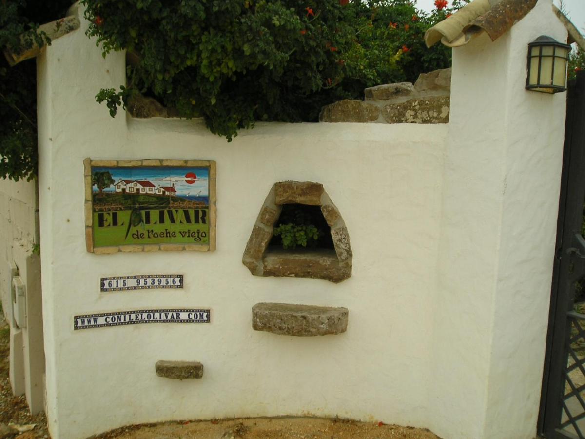 El Olivar De Roche Viejo Conil De La Frontera Extérieur photo