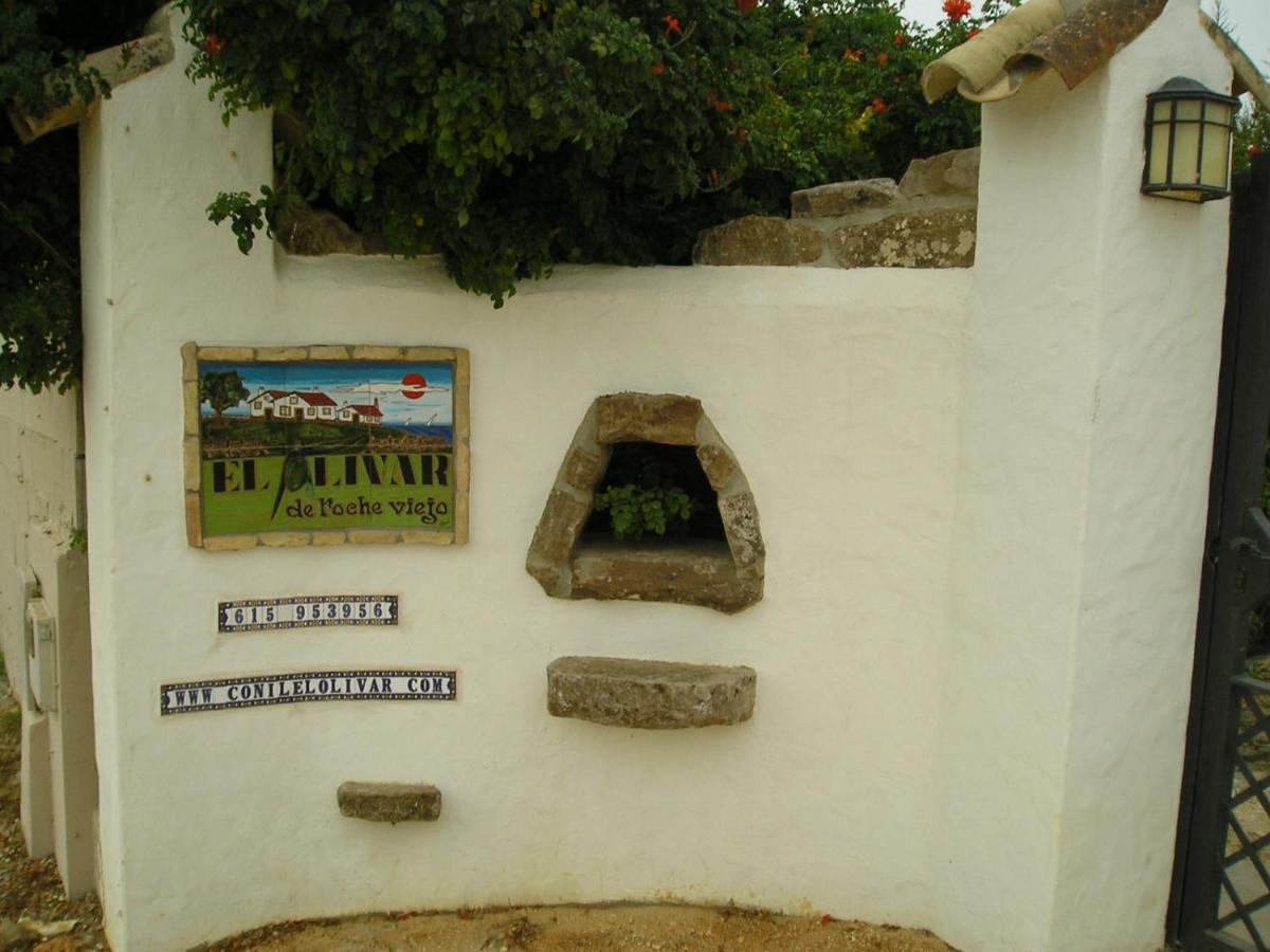 Villa El Olivar De Roche Viejo à Conil De La Frontera Extérieur photo