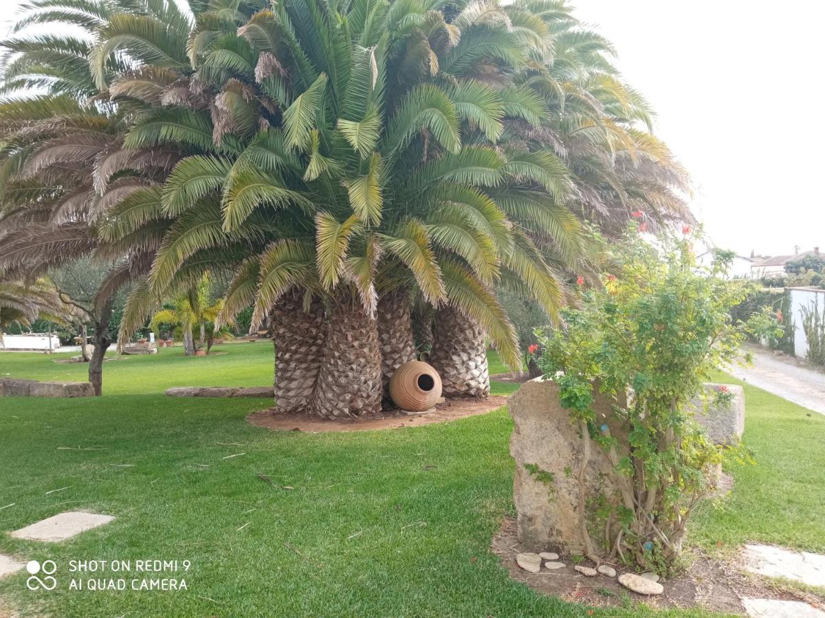 Villa El Olivar De Roche Viejo à Conil De La Frontera Extérieur photo