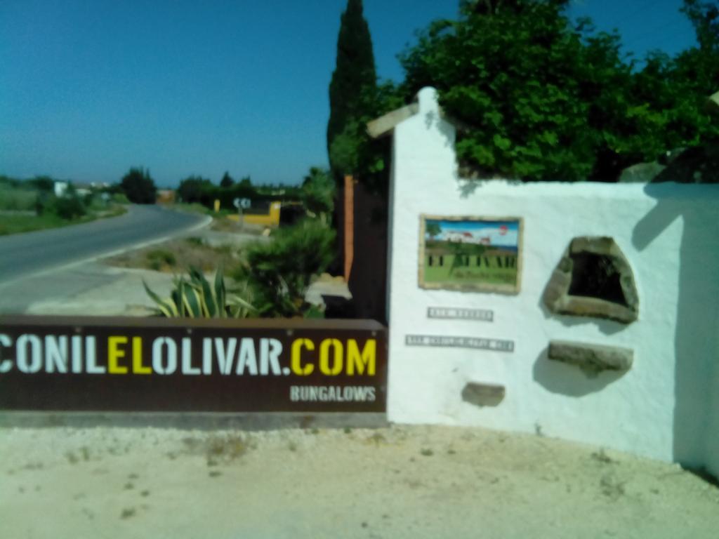 Villa El Olivar De Roche Viejo à Conil De La Frontera Extérieur photo