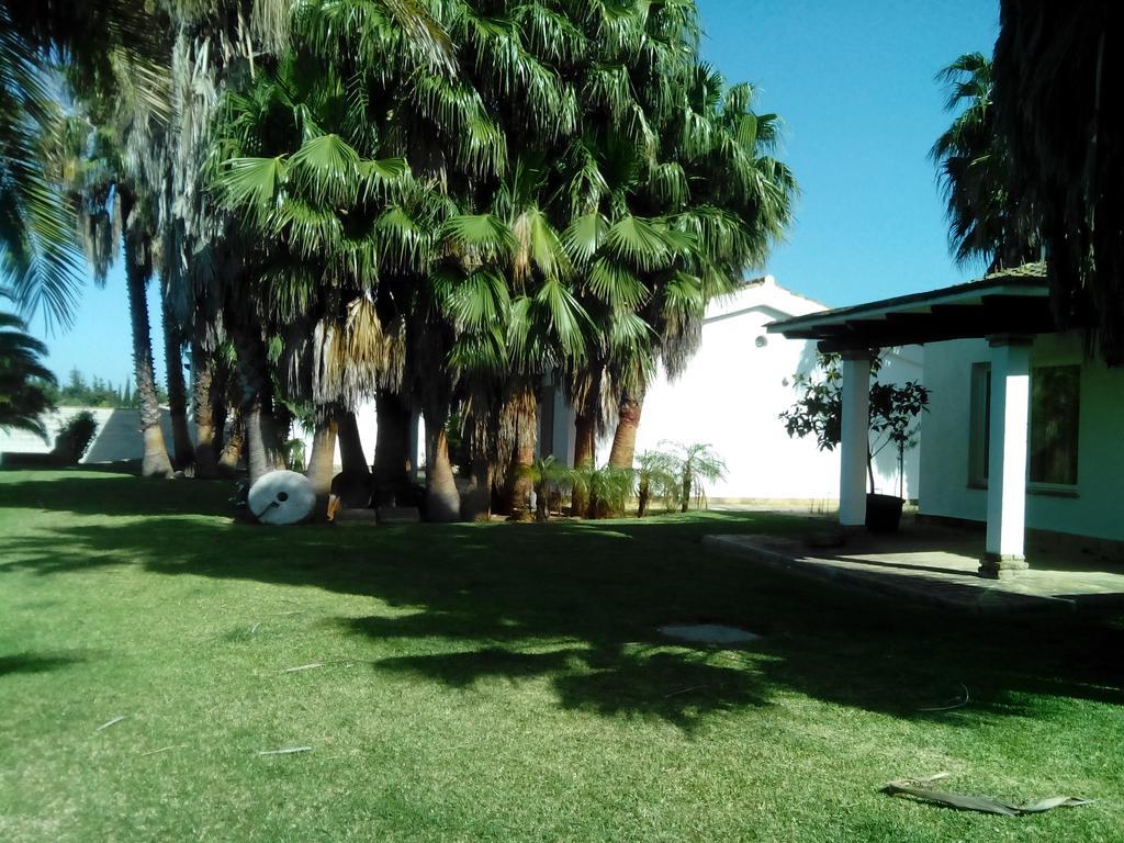 El Olivar De Roche Viejo Conil De La Frontera Extérieur photo