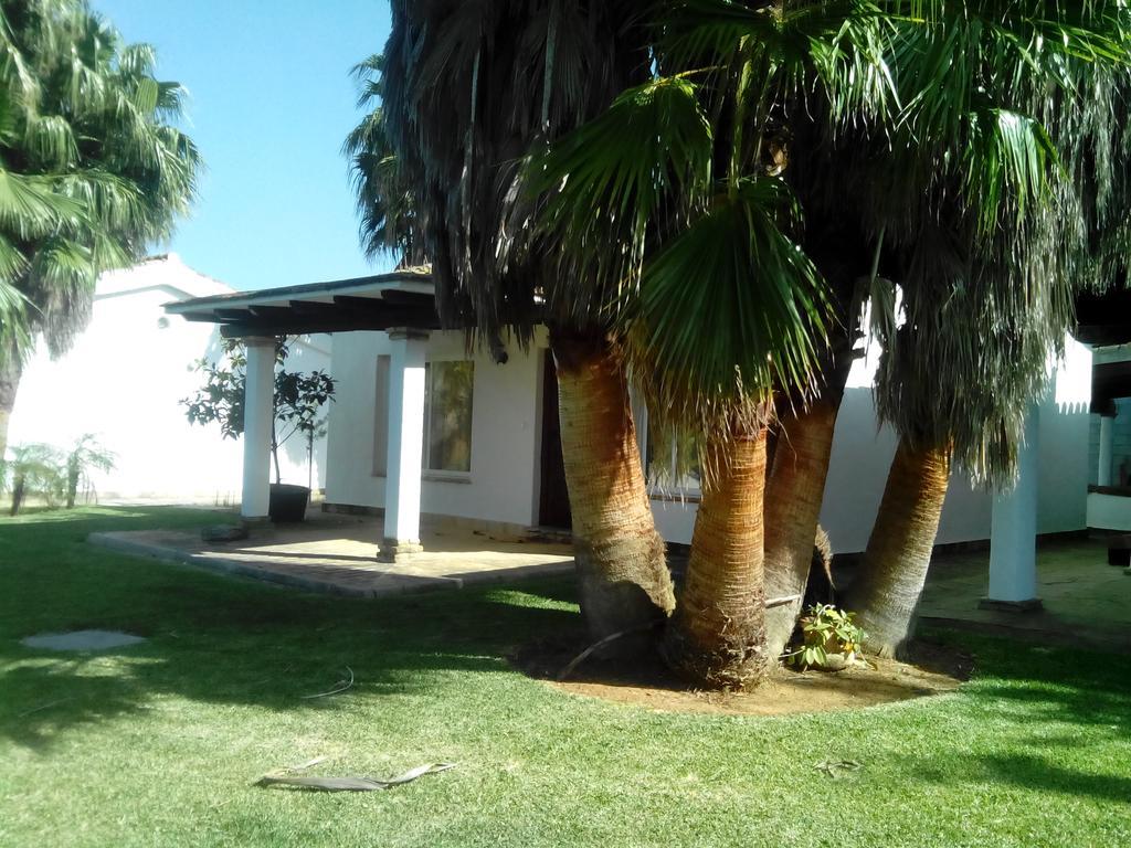 El Olivar De Roche Viejo Conil De La Frontera Extérieur photo