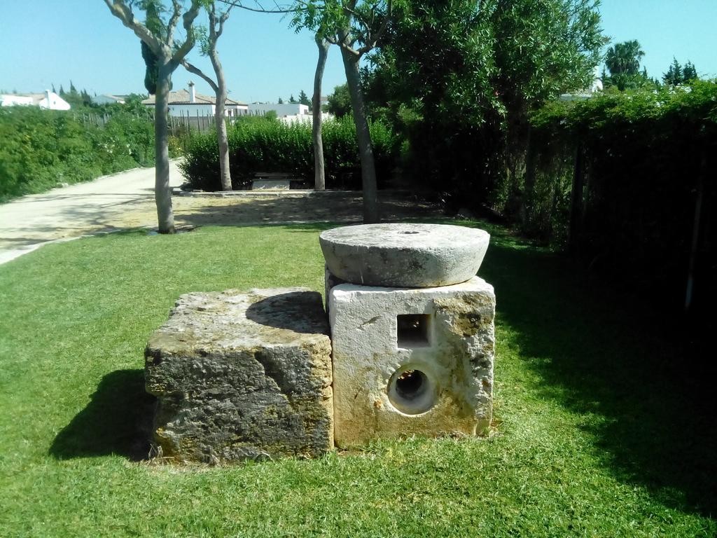 El Olivar De Roche Viejo Conil De La Frontera Extérieur photo
