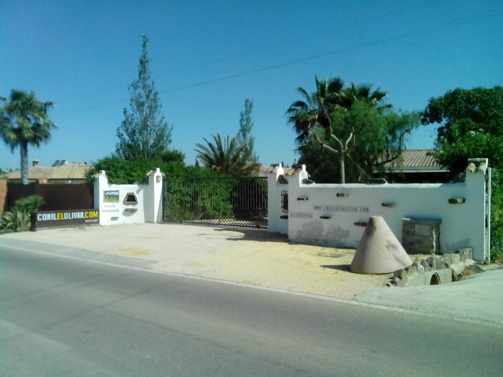 Villa El Olivar De Roche Viejo à Conil De La Frontera Extérieur photo