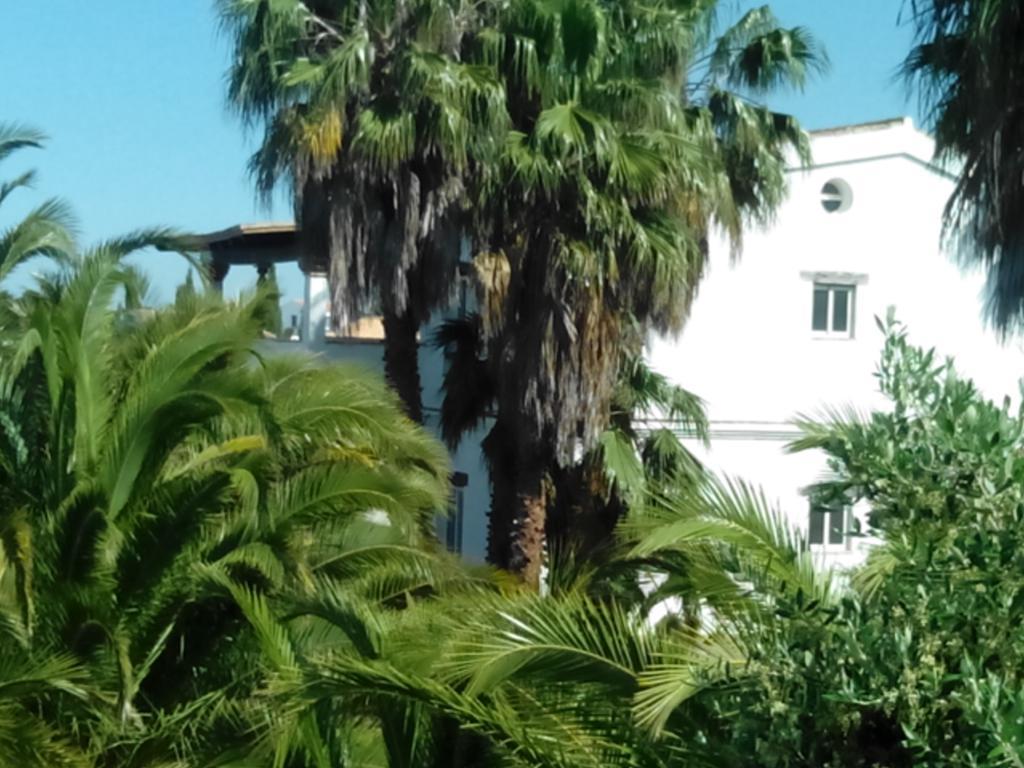 El Olivar De Roche Viejo Conil De La Frontera Extérieur photo