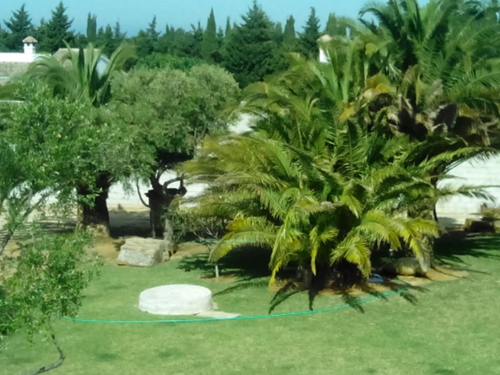 El Olivar De Roche Viejo Conil De La Frontera Extérieur photo