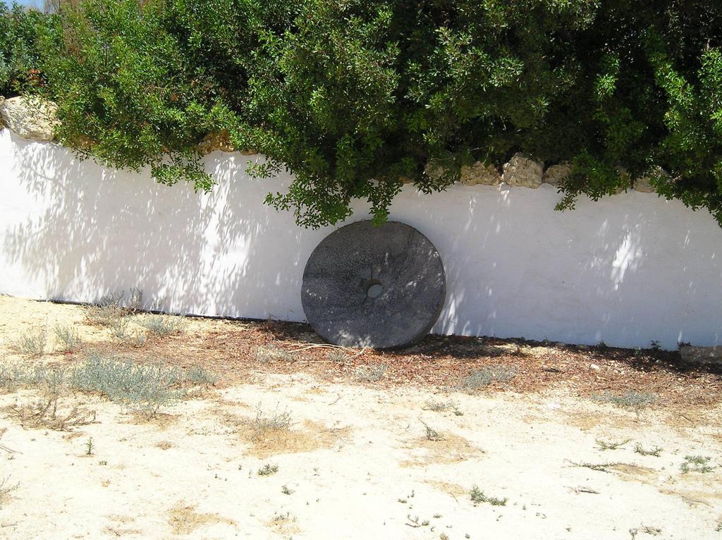 El Olivar De Roche Viejo Conil De La Frontera Extérieur photo
