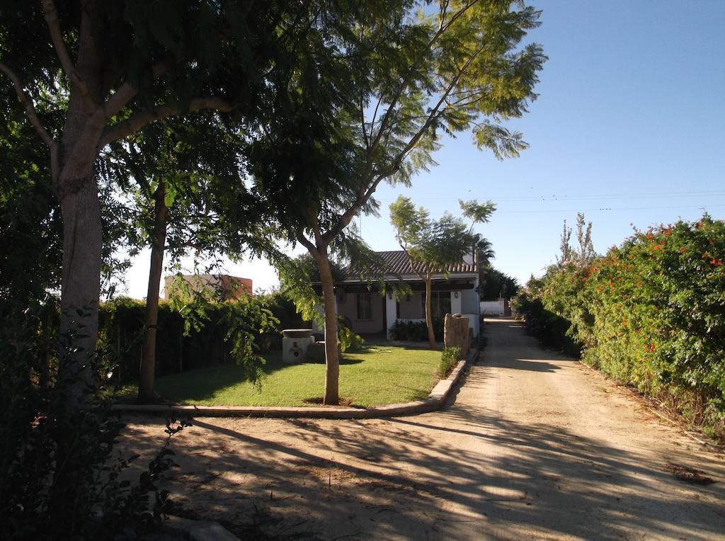 El Olivar De Roche Viejo Conil De La Frontera Extérieur photo