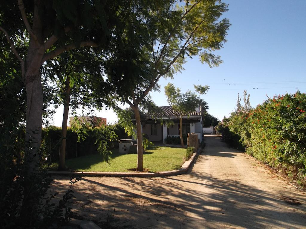 Villa El Olivar De Roche Viejo à Conil De La Frontera Extérieur photo