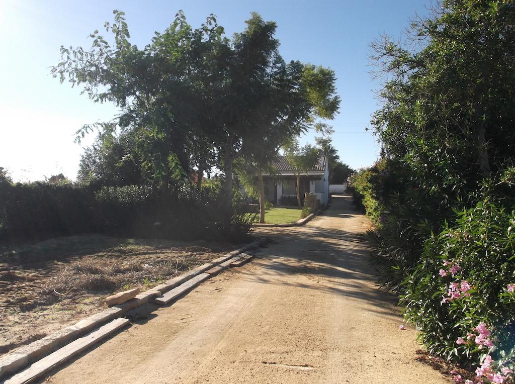 Villa El Olivar De Roche Viejo à Conil De La Frontera Extérieur photo